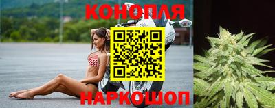 твердый Новокубанск