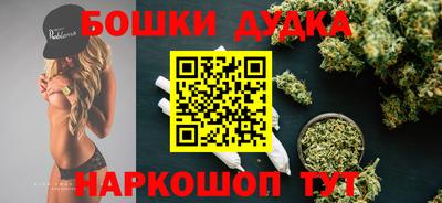 крисы Обь