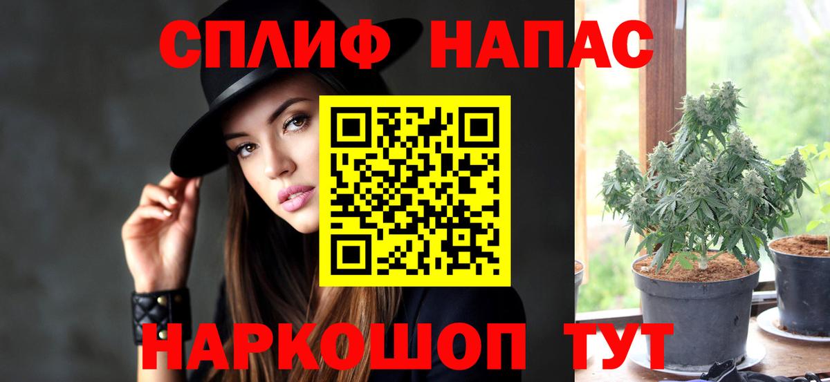Марихуана план  Вход с VPN  Бошки марихуана тримм  Шишки марихуана семена  Северобайкальск 